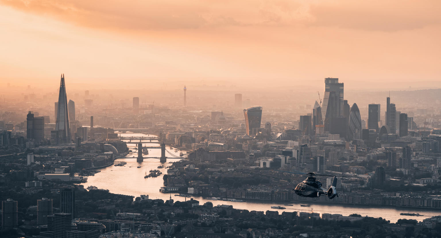 What the official numbers show